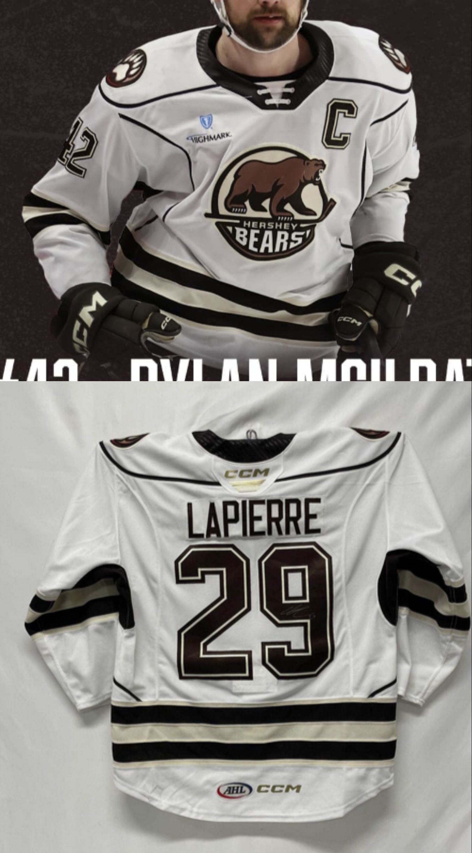 Men's Hershey Bears Calder Cup customized Final  White/Black NHL Jersey