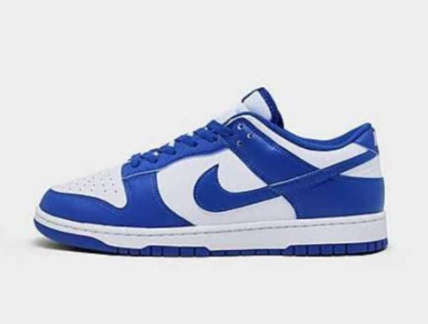Men's Dunk Low Blue Shoes 0486
